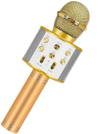 WS 858 HAND MIC