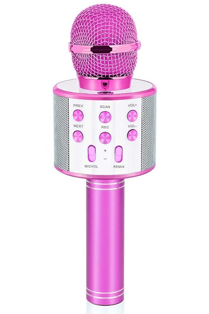 WS 858 HAND MIC