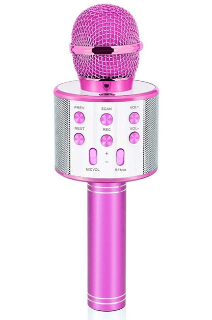 WS 858 HAND MIC