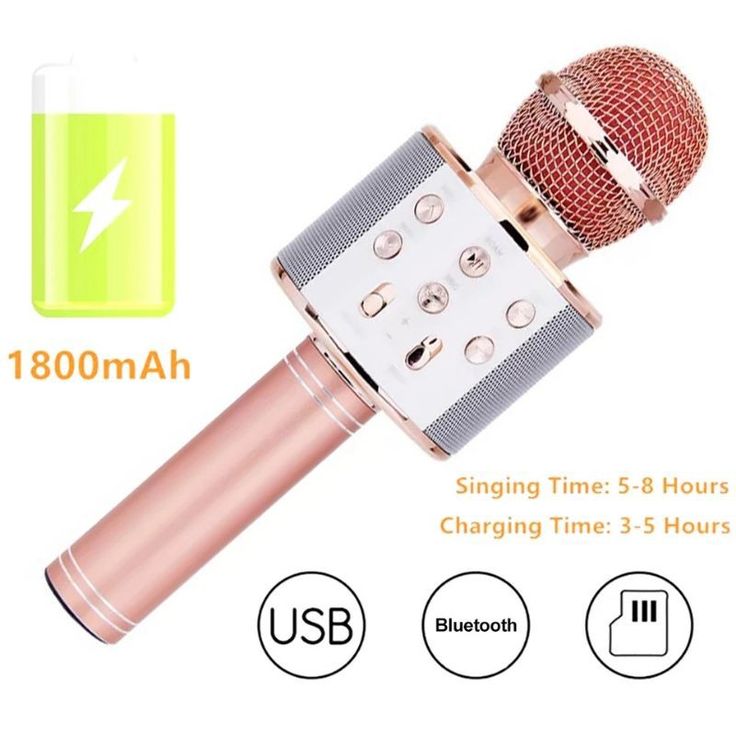 WS 858 HAND MIC