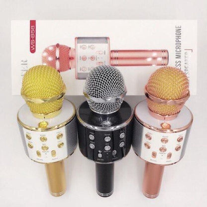 WS 858 HAND MIC
